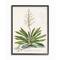 Stupell Industries Botanical Fern Illustration Wall Art in Black Frame